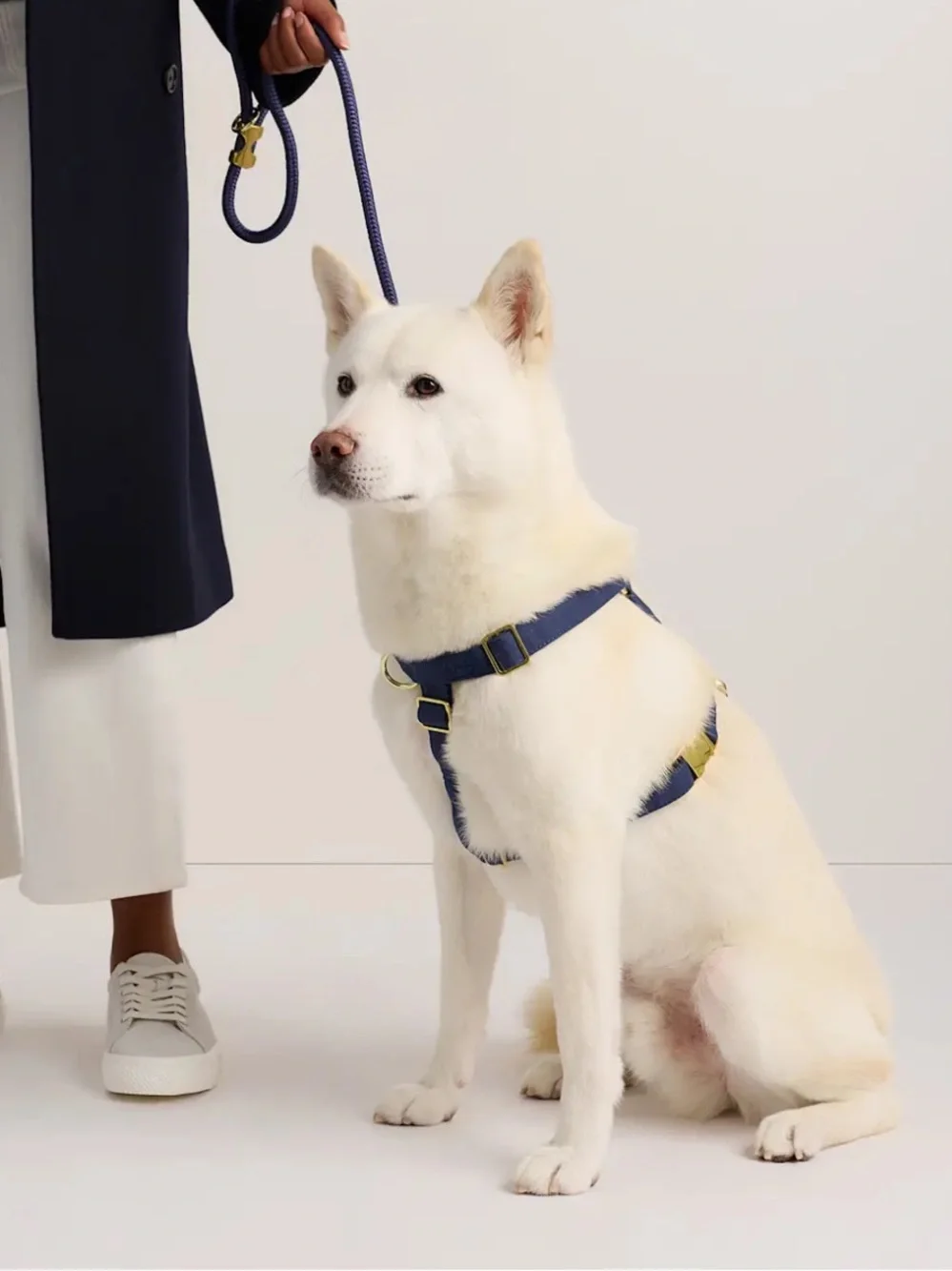 Quince 100% Cotton Wrapped Nylon Dog Harness Navy Blue - Large